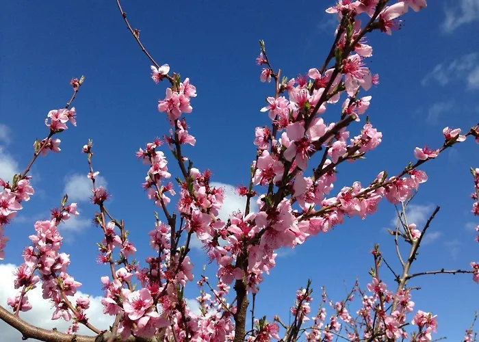 Wittker Διαμέρισμα *